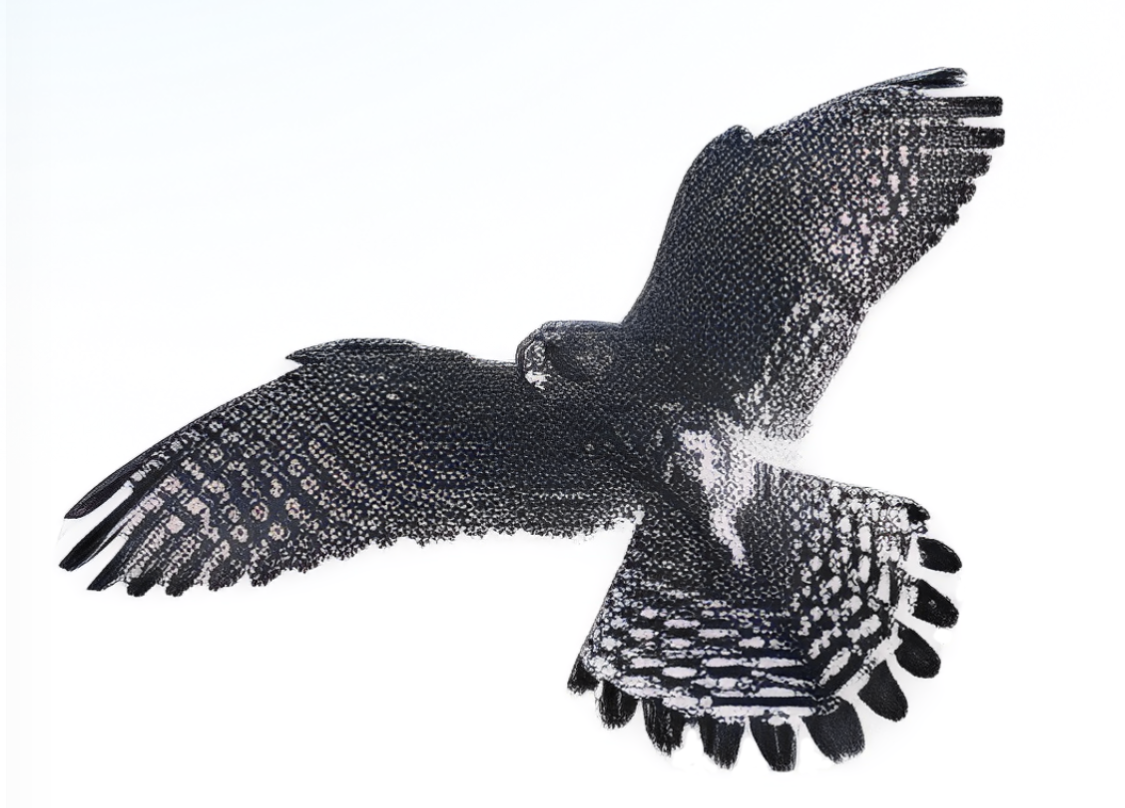 Turmfalke Logo